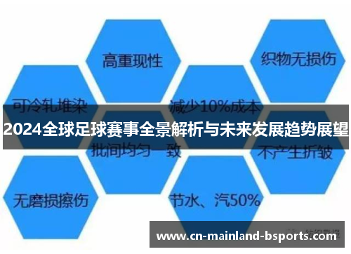 2024全球足球赛事全景解析与未来发展趋势展望
