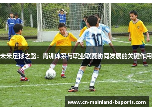 未来足球之路：青训体系与职业联赛协同发展的关键作用