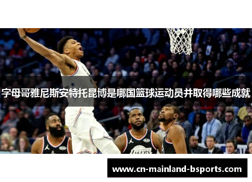 字母哥雅尼斯安特托昆博是哪国篮球运动员并取得哪些成就