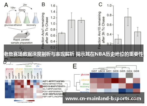 老詹赛场数据深度剖析与表现解析 揭示其在NBA历史地位的重要性