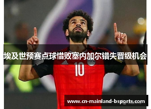 埃及世预赛点球惜败塞内加尔错失晋级机会